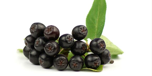 Fruits de cendre de montagne noire utiles pour le diabète